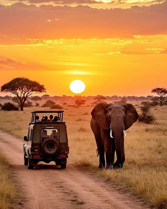 Kenya
