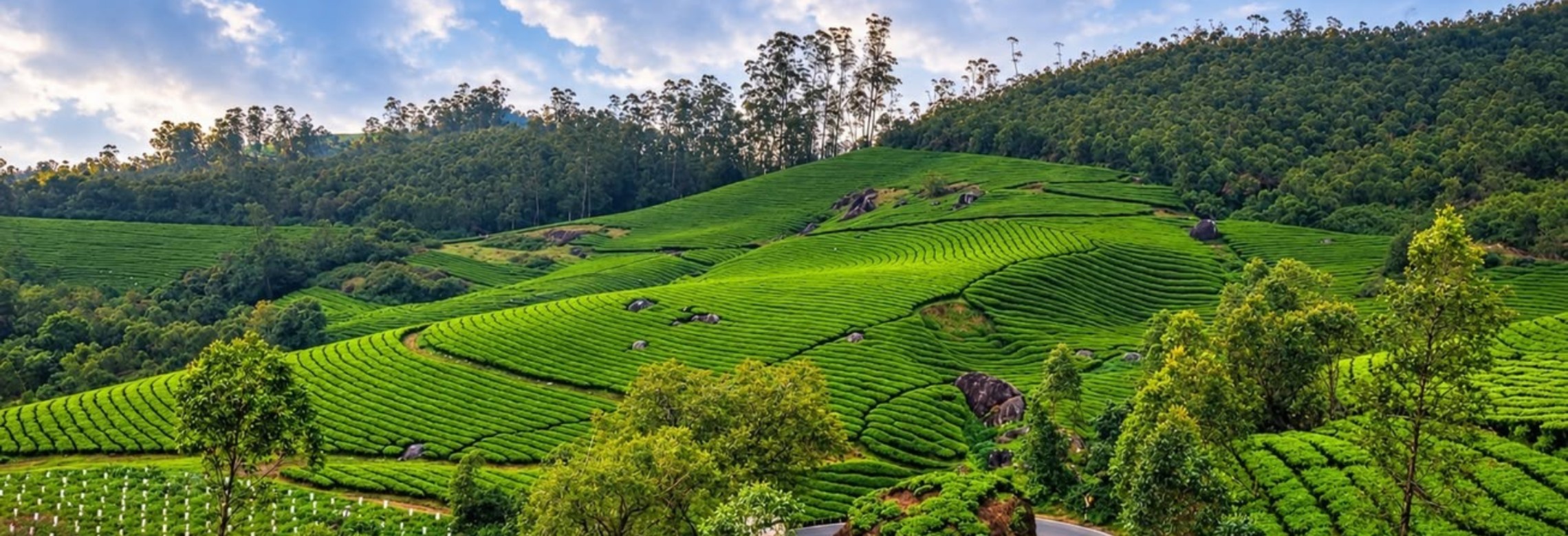 Asia